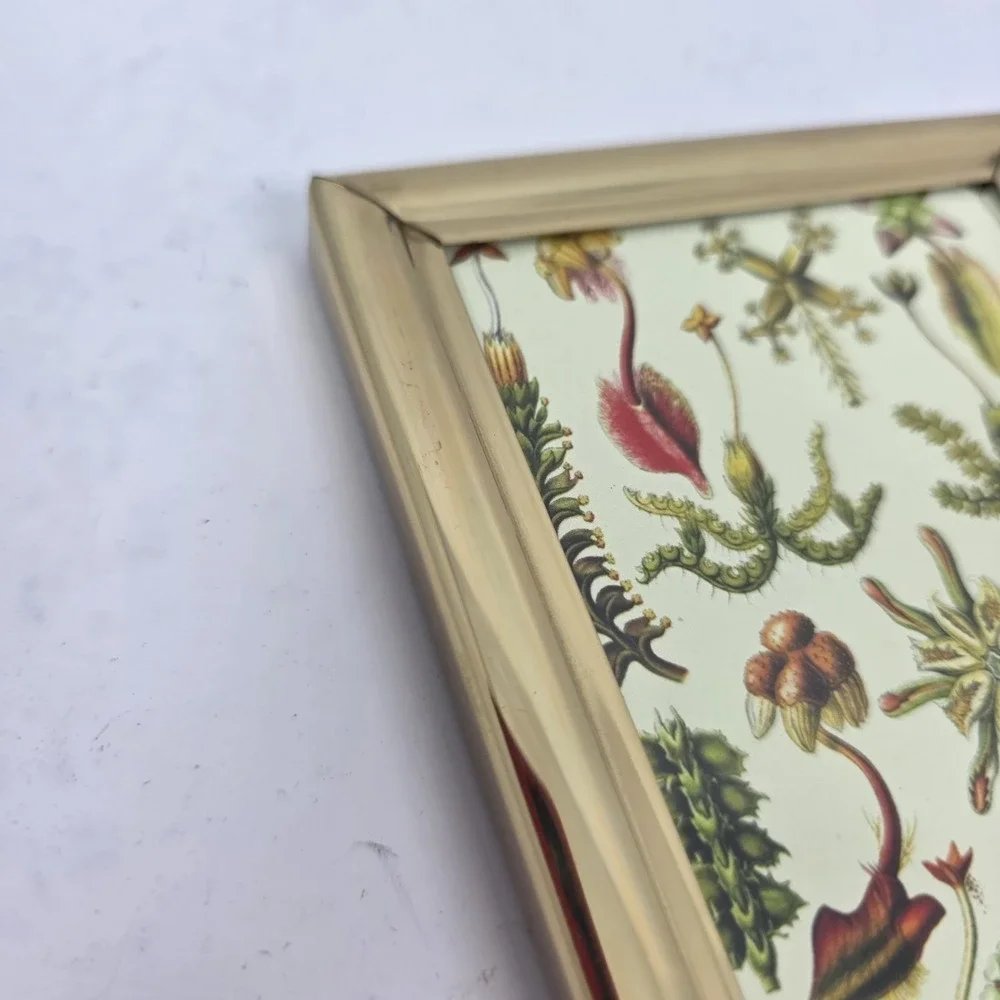 Vintage Brass Frame‎ Botanical Print Velvet Back Glass Front 6.25